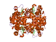 3d17: A triply ligated crystal structure of relaxed state human hemoglobin