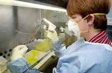 Lab worker with mask