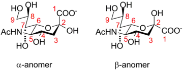 Neuraminic acid anomeric configuration