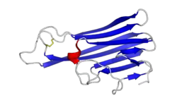 Render of structure of a single TNF monomer.