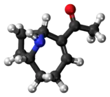 Ball-and-stick model of the anatoxin-a molecule