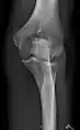 Left elbow by 30 degrees internal oblique projection