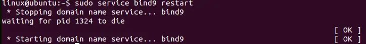 DNS server restart
