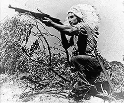 Menominee Chief