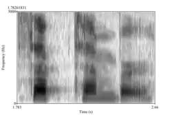 Spectrogram 1