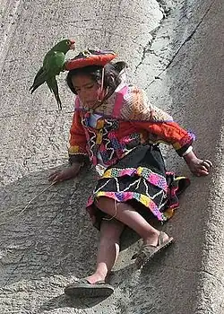 Peruvian Girl