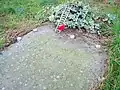 Wittgenstein