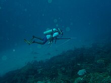 Photo of Abram on the submarine island at 38 m depth