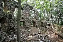 Blansek castle ruins