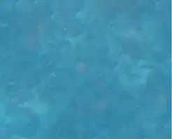 Assessing depth through a mask at the surface. About 25&nbsp;m , ideal to start a dive on the top of the Edge.