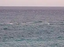 Photo of rarely seen lines of turbulence over inner and outer reefs.