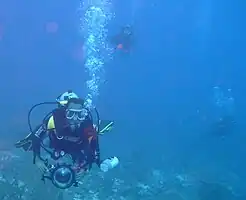 Not all divers on Cobblers Reef are fishermen.