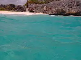The Public Steps at Crane Beach North were viewed by a diver.