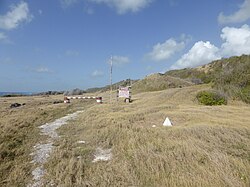 The Red Flag sometimes comes down.